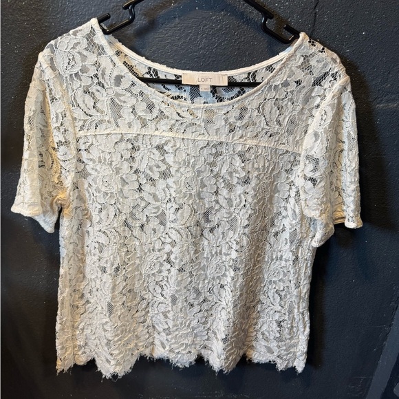 LOFT Cream Lace Blouse Short Sleeve - Picture 1 of 4